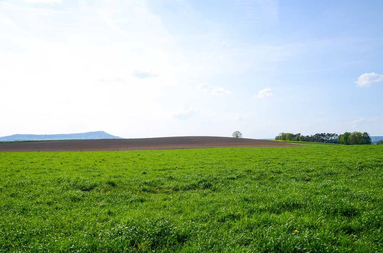 What are Environmental Footprint Calculators?